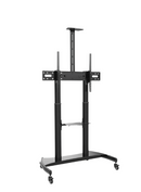 Specktron Mobile Stand - steel - for Interactive displays | ST-03S