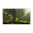 Dahua LS550UCM-BF 55’’ FHD Video Wall Display Unit (Ultra Narrow Bezel 3.5mm)