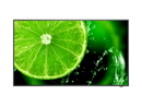 NEC MultiSync E328 LCD 32" Essential Large Format Display