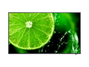 NEC MultiSync E558 55" E Series large format display