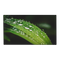 Dahua LS550UDM-UF 55’’ FHD Video Wall Display Unit (Ultra Narrow Bezel 1.7mm)
