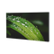 Dahua LS550UEM-UG 55’’ FHD Video Wall Display Unit (Ultra Narrow Bezel 0.88mm)
