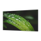 Dahua LS550UEM-UG 55’’ FHD Video Wall Display Unit (Ultra Narrow Bezel 0.88mm)