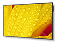 NEC Multisync 43" M431-2 Message Large Format Display