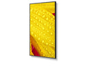 NEC Multisync 43" M431-2 Message Large Format Display