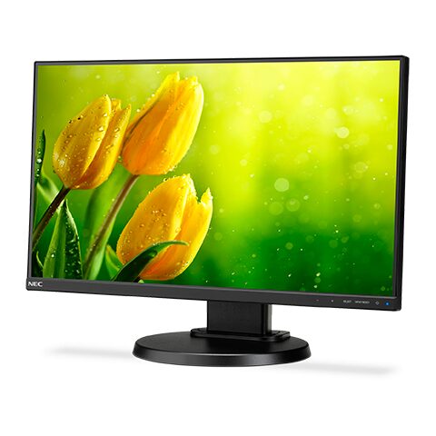 NEC MultiSync E221N-BK LCD 22" Enterprise Display