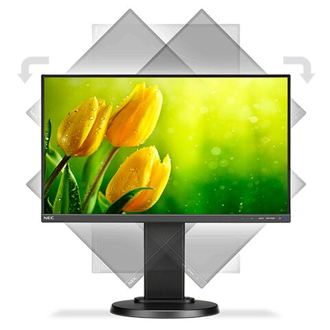 NEC MultiSync E221N-BK LCD 22" Enterprise Display