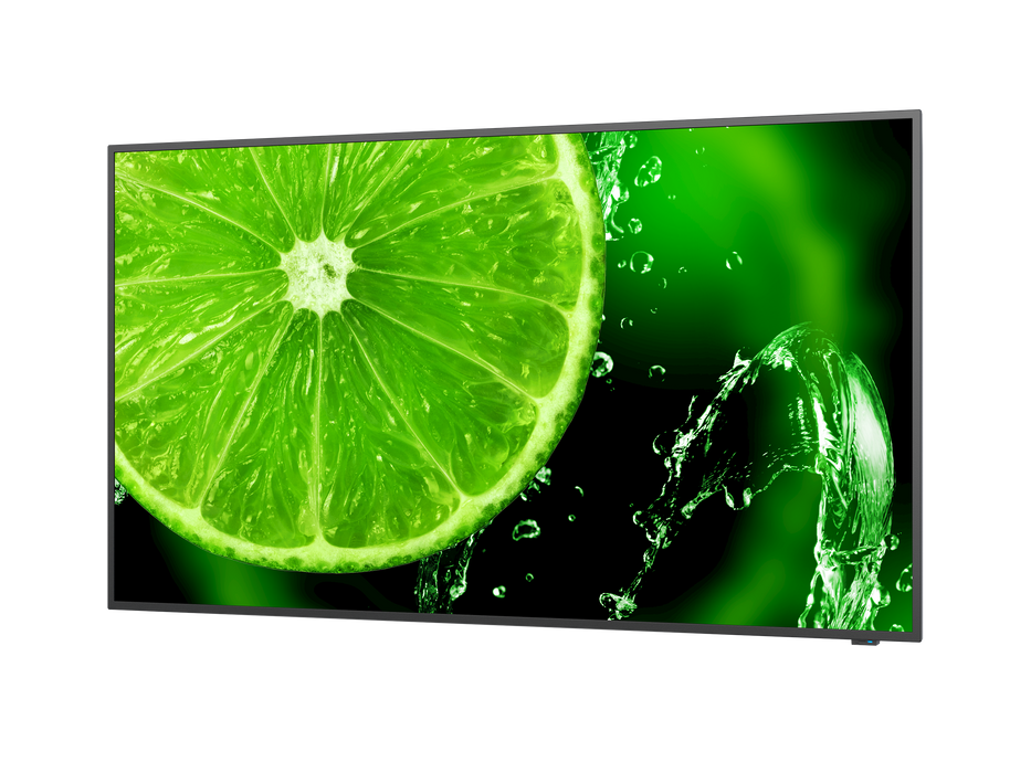 NEC MultiSync E658 LCD 65" Essential Large Format Display